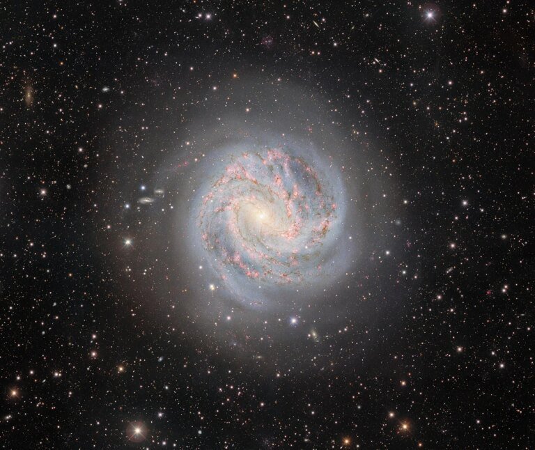 The Dead Stars That Won’t Fade Quietly