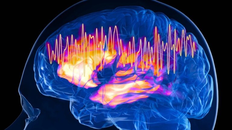 Is This The Brain’s ‘Focus Switch? Scientists Just Found Ancient Cells That Control Attention in Mice : ScienceAlert