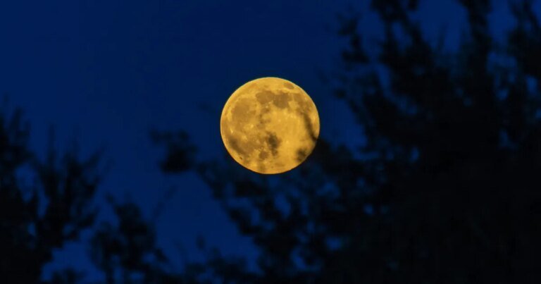 2026 Full Moon calendar: When to see the Full Moon and phases