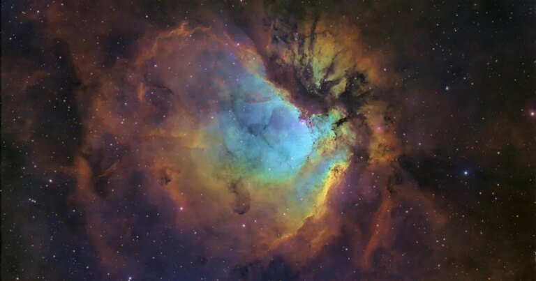 A stellar nursery in Cygnus